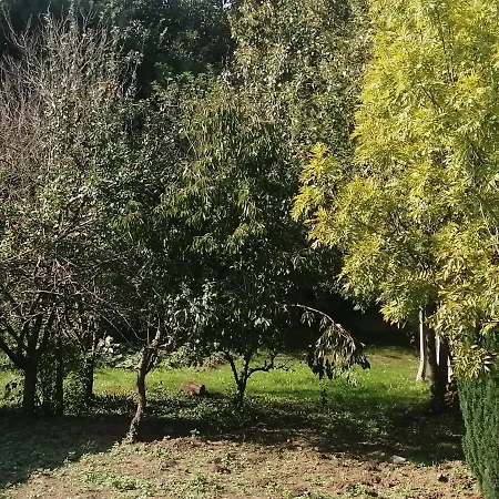 Le Hameau Du Petit Carpont - D'hotes -baie De Saint-brieuc-entre-paimpol Et Erquy - Petit Dejeuner Breton *